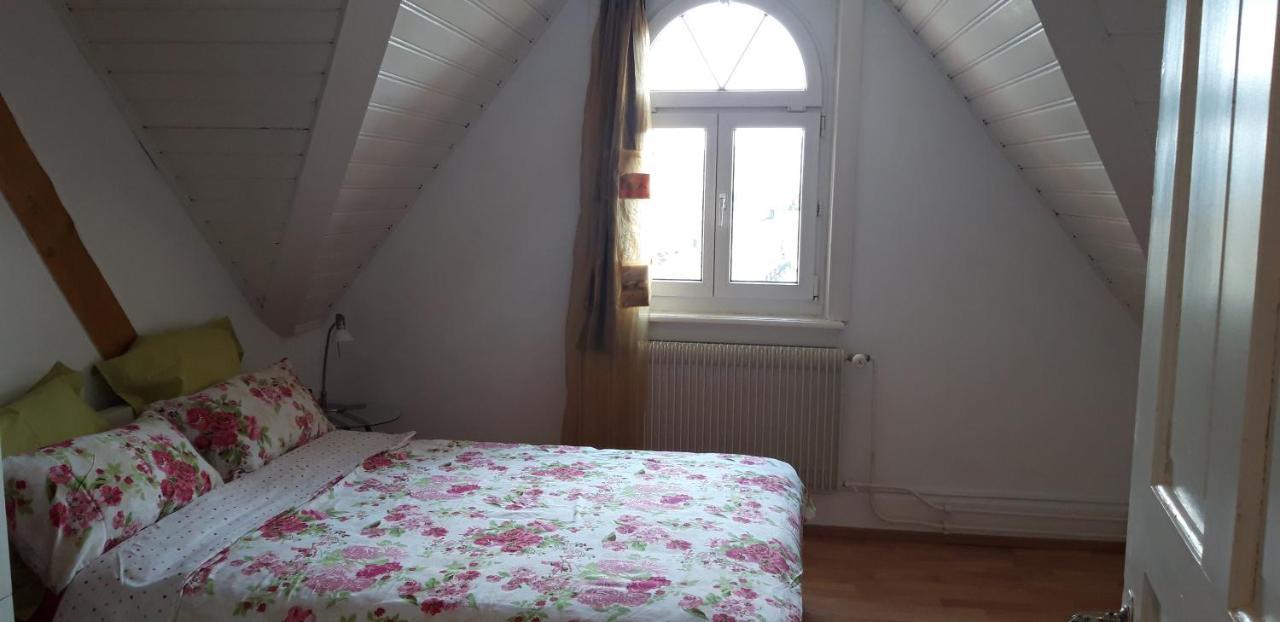 Ferienwohnung Stein Am Rhein Nahe Bahnhof Und Rhein Exterior foto